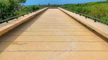 Observation desk panorama view to tropical national park and wooden path of Tulum. video