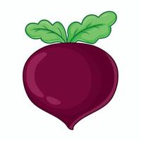 Beetroot icon. Cartoon of beetroot icon for web design vector