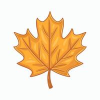 Autumn maple leaf icon. Cartoon illustration of autumn maple leaf icon for web design vector