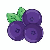 Blueberry with leaves. illustration in cartoon style isolated on white background vector