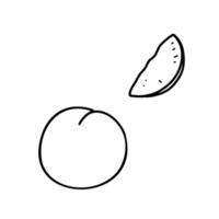 Peach Illustration hand drawn in Doodle style. Whole peach and Slice of Fruit isolated on a white background. Simple black and white outline. For product packaging, menu, logos vector