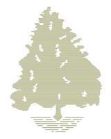 The yellow tree is drawn with thin lines. Abstract trees. Wood for your project. vector