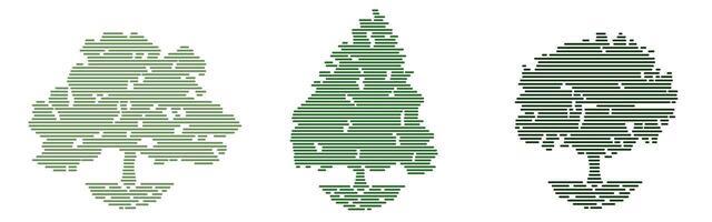 Abstract trees. Trees are drawn with thin lines. Wood for your project. vector