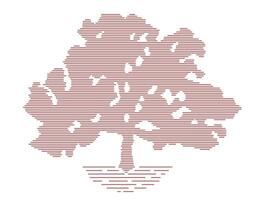 Mahogany is drawn with thin lines. Abstract trees. Wood for your project. vector