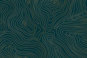 Abstract luxury topographic map background. Gold topographic lines on a dark blue background vector