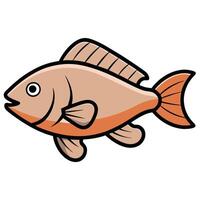 Tilapia Fish for Print and Digital Media vector