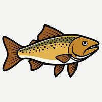 Digital Drawing of Trout Fish in Sty vector