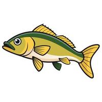 Digital Drawing of Walleye Fish in vector
