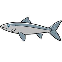 Stylish Whiting Fish Line Drawing in vector