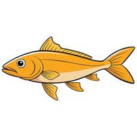Isolated Whiting Fish on White Background vector