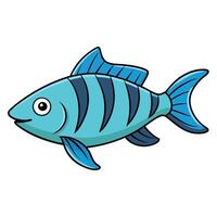 Fresh Tigerfish Illustration for Print and Web vector