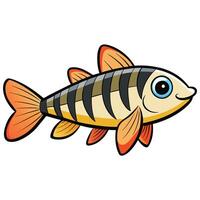 Stylized Zebra Danio Fish in Form vector