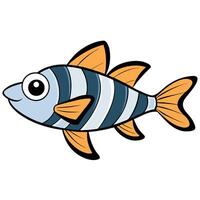 Zebra Danio Fish Isolated Design vector