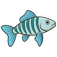 Zebra Danio Fish with Smooth Lines in Style vector