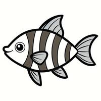 Detailed Representation of Zebra Danio Fish vector