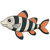 Unique Zebra Danio Fish Digital Artwork vector