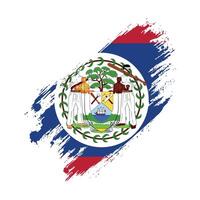 the flag of belize with a brush stroke vector