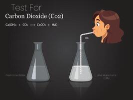 Illustration of Carbon Dioxide and Lime Water Experiment with Two Flasks and Exhalation vector