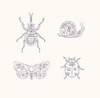 Beetles elements rhinoceros beetle, snail, moth, ladybug drawing in floral style with blue on beige background vector