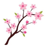 Botanical set with flower Design vector