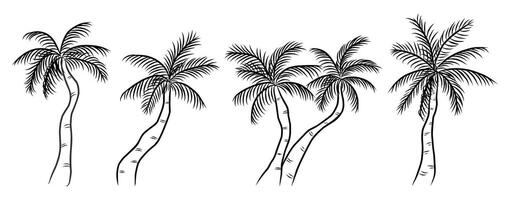 Collection of hand-drawn sketch palm trees Illustrations ideal for tropical-themed designs and backgrounds. vector