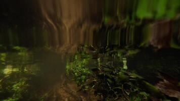 Underwater view of riverbed with forest reflected on surface video