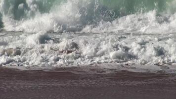 Tight Shot Of Ocean Waves On Sand Beach The Zoom Out To Follow Bird Running video