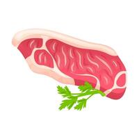 Raw red meat in flat design. Uncooked beef or pork slice, butcher menu. illustration isolated. vector
