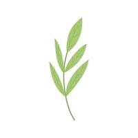 Cute spring green branch isolated on white background. Hand drawn botanical clipart vector