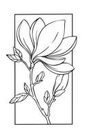 magnolia flower in frame. illustration sketch style. coloring vector
