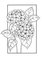 hydrangea flower in frame. illustration in sketch style. coloring book vector