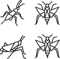 coloring page Grasshopper illustration vector