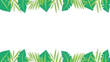 Tropical plant background with banana leaves and palm leaves on the top and bottom sides. isolated on white background. Place for text. illustration vector