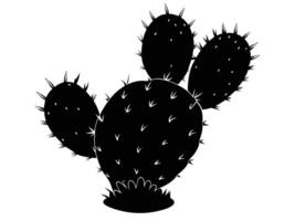 The Prickly Pear Cactus vector