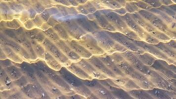 Clear river water with small waves, through which you can see sandy bottom with shells. video
