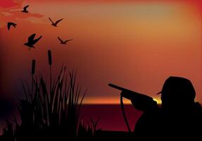 hunter aims game in swampy environment- vector