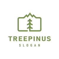 Mountain and Pine Tree elements with simple and clean lines. This logo is suitable for businesses or organizations that focus on the environment, forests, natural products. vector