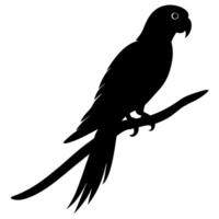 Simple parrot icon perfect for branding and creative bird-themed artworks vector