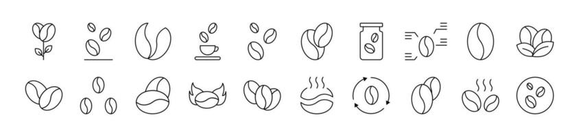 Bundle of Line Icons of Coffee Grain. Editable Stroke. Minimalistic Linear Pictogram for Design of Cards, Apps, Banners, Posts vector