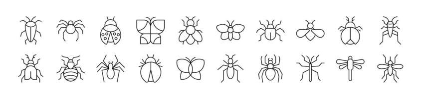 Insect Related Line Icon Collection. Editable Stroke. Perfect for Infographics, Articles, Books, Flyers, Banners vector