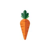 carrot icon isolated on white background vector