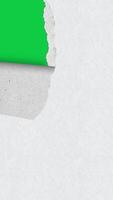rasgado papel transição, Descanse em paz branco papel animação vertical fundo verde tela video
