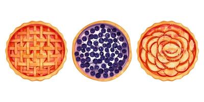 Set Homemde pie, tart top view whole round bakery, dessert in cartoon style isolated on white background. Collection backed desserts with different filling. vector