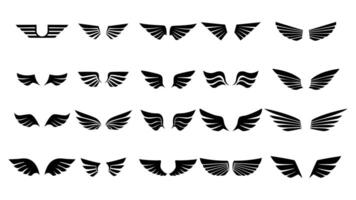 a set of black wings with different shapes vector