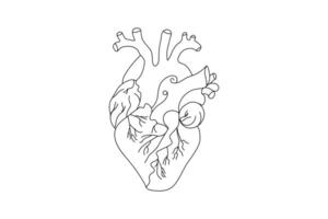 Minimalist Line art of an anatomic unique continuous line drawing of a heart design vector