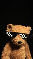 soft bear dark background video