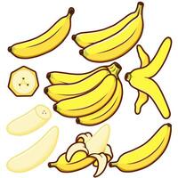 bunch of bananas in various shapes sliced vector