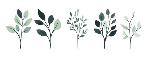 Green tree and leaf collection. Flat design tree and leaf perfect for botanical and nature-inspired projects. featuring a collection of trees and leaves in various stages of growth vector