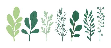 Set of tree and leaf collection. Flat design tree and leaf perfect for botanical and nature-inspired projects. featuring a collection of trees and leaves in various stages of growth vector