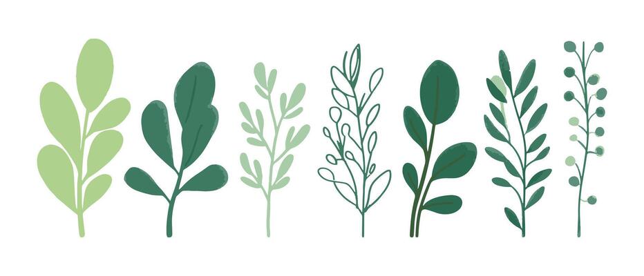 Set of tree and leaf collection. Flat design tree and leaf perfect for botanical and nature-inspired projects. featuring a collection of trees and leaves in various stages of growth